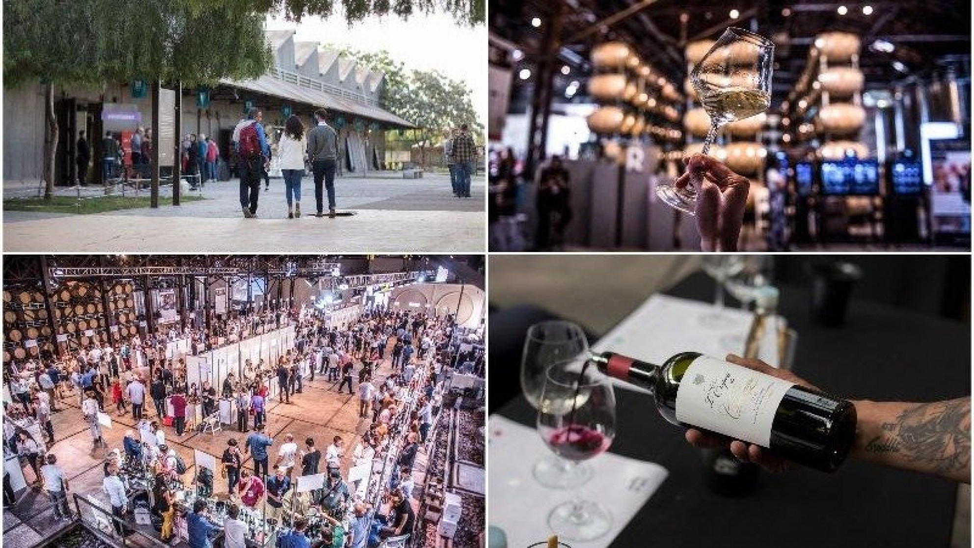 El Vino Argentino llega a San Pablo de la mano de Expo Vinos y Negocios para conectar bodegas argentinas con importadores